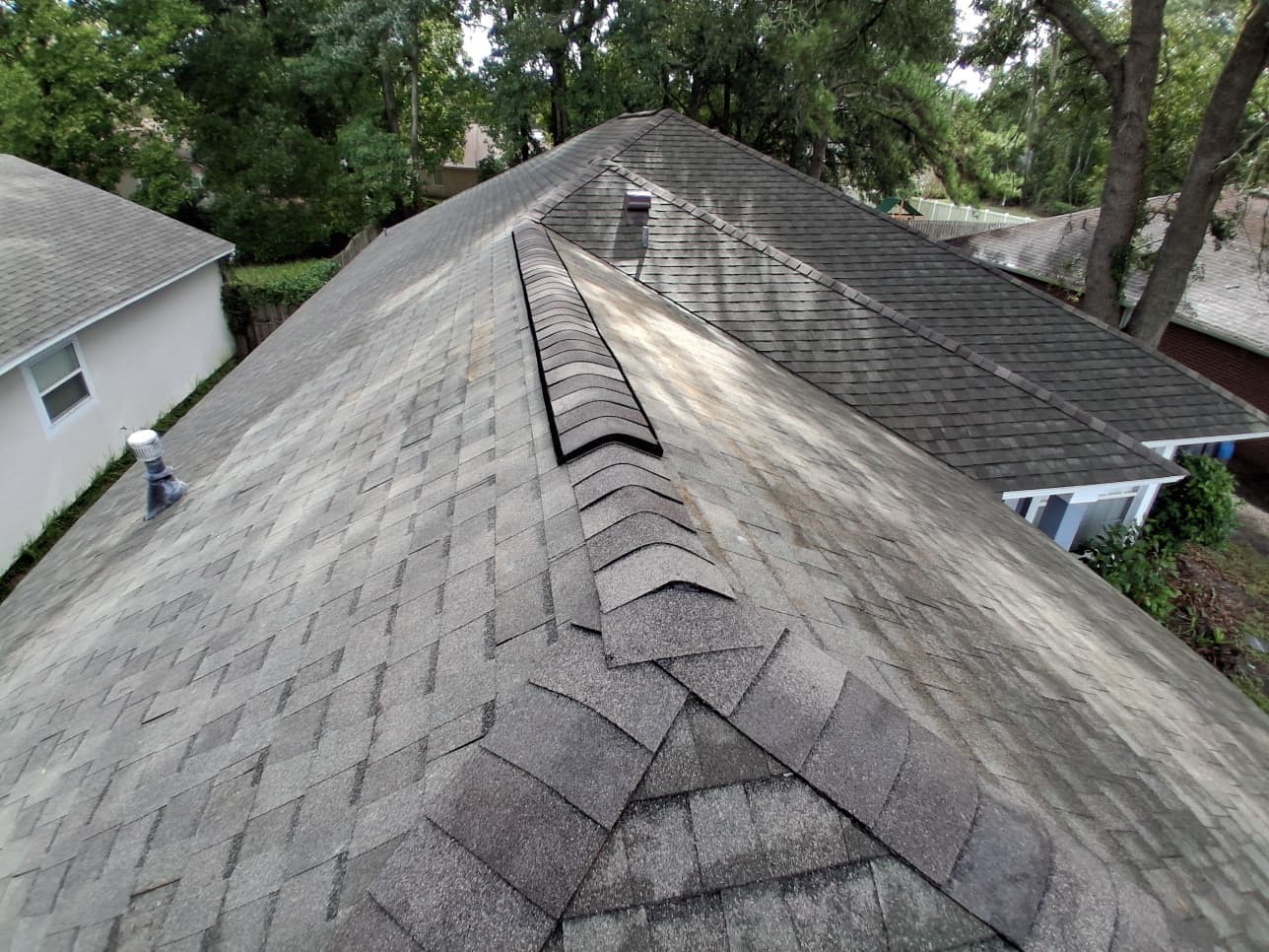 Shingle Roof